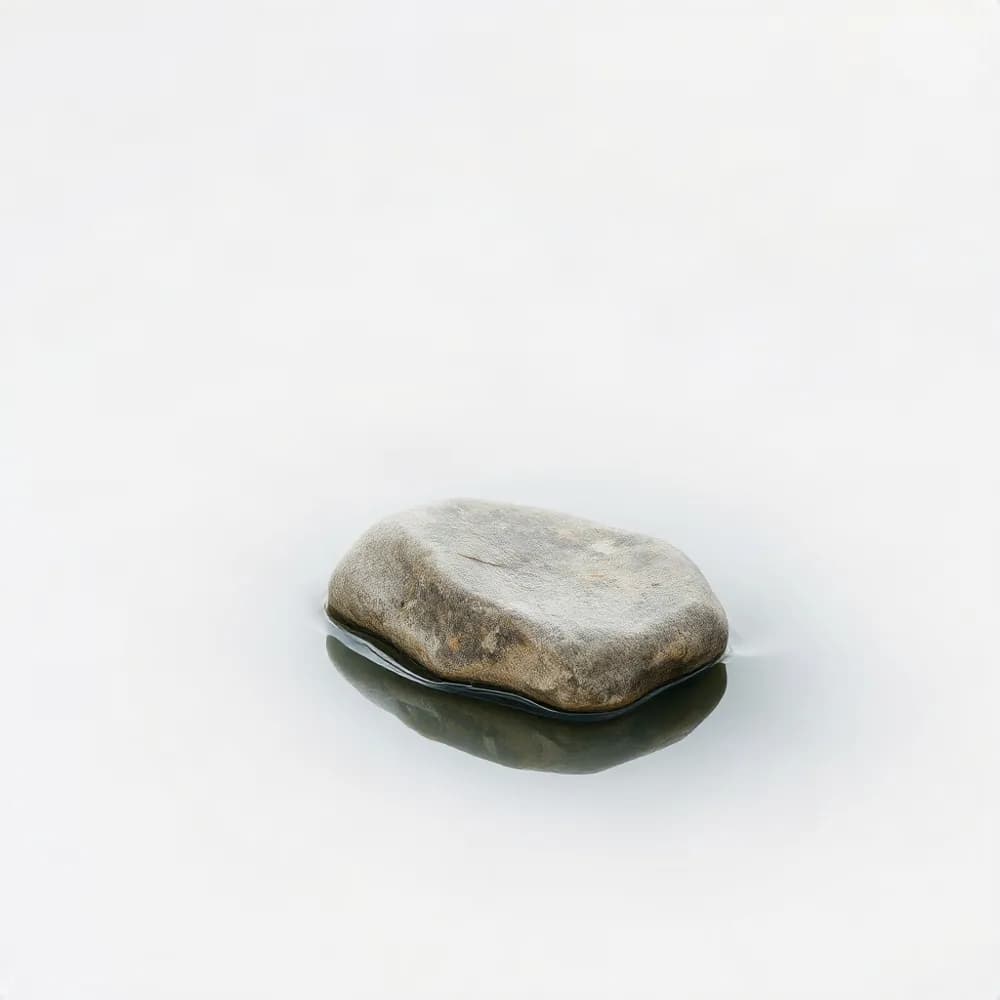 Healing From Emotional Burnout in a Fast Paced World